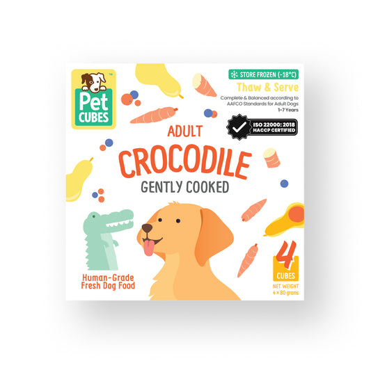 Crocodile