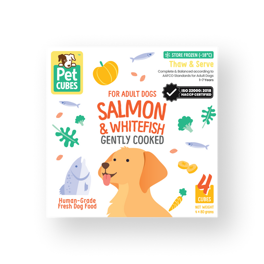 輕煮鮮食系列 – 三文魚加白魚成犬糧