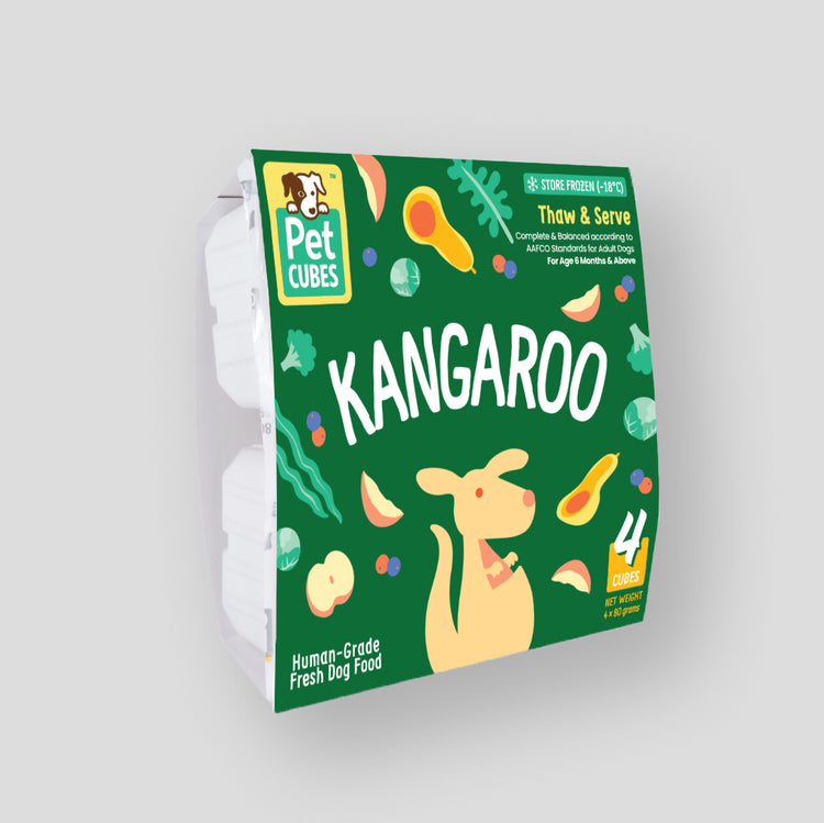 Kangaroo