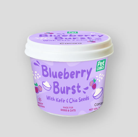 Blueberry Burst